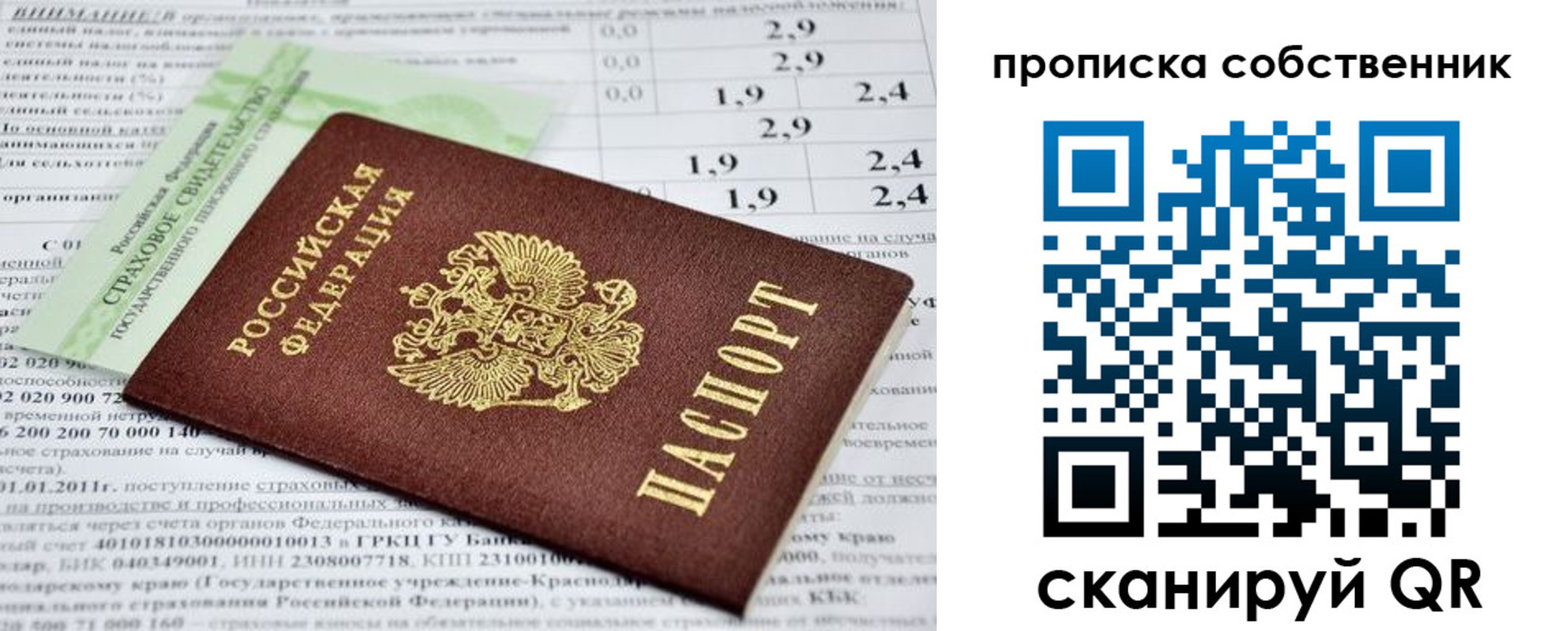 прописка 2025 в Ивантеевке